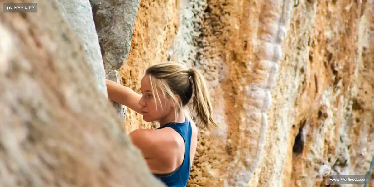 行业领先的理由